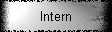 Intern